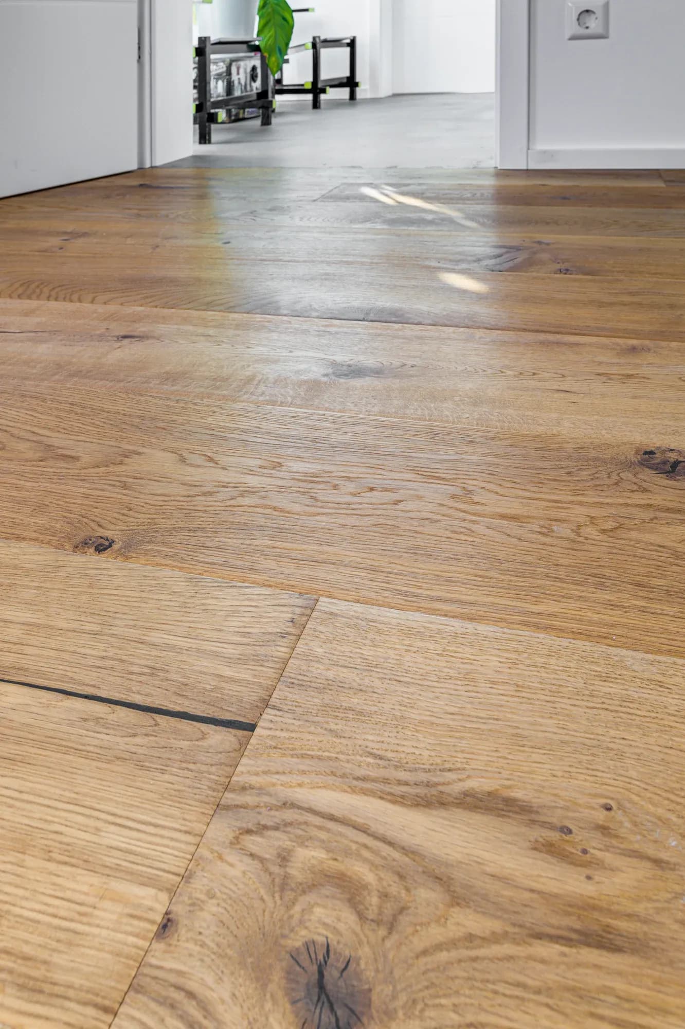 Gros plan sur un parquet en chêne huilé au veinage vivant et aux nœuds apparents