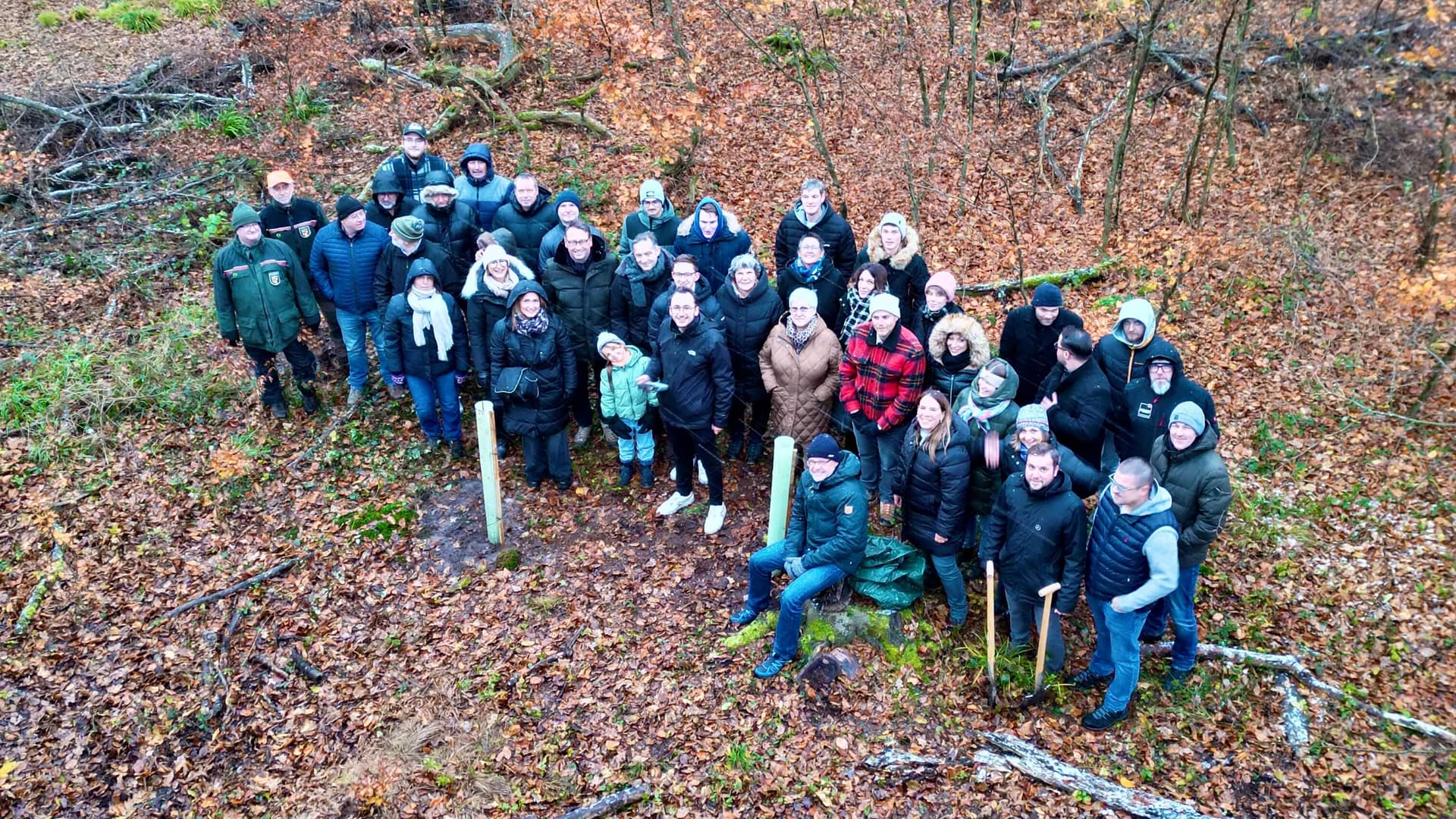 Photo aérienne des équipes Frey lors de la plantation d'arbres collective dans la forêt du Bienwald en automne