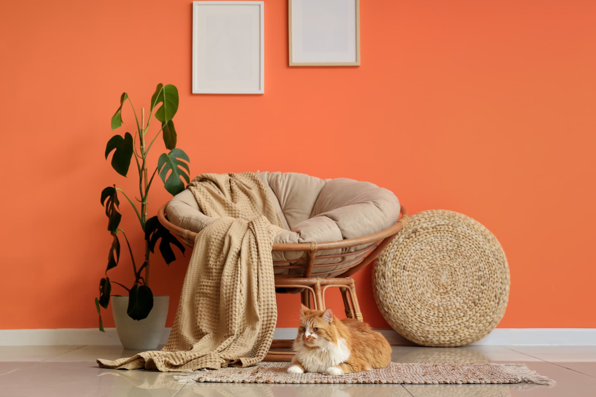 Coin salon chaleureux avec fauteuil en rotin, plaid en laine et coussins devant un mur terracotta, avec un chat sur un tapis en jute au premier plan
