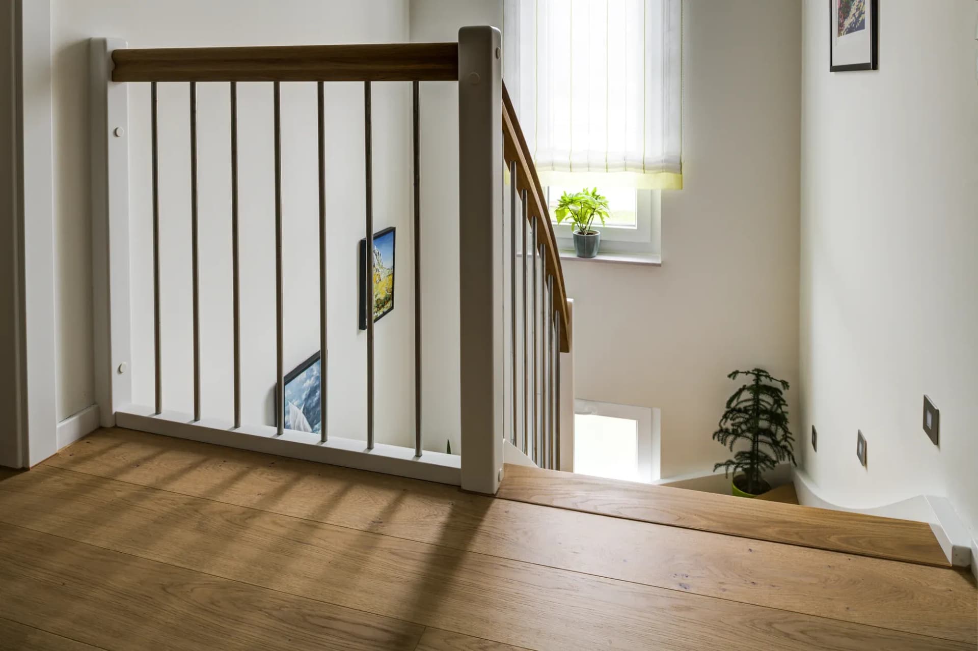 Parquet en chêne sur le palier d'escalier, garde-corps laqué blanc avec main courante en chêne, lumière latérale de la fenêtre
